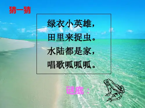 一年级下册语文课件识字13小青蛙人教部编版42