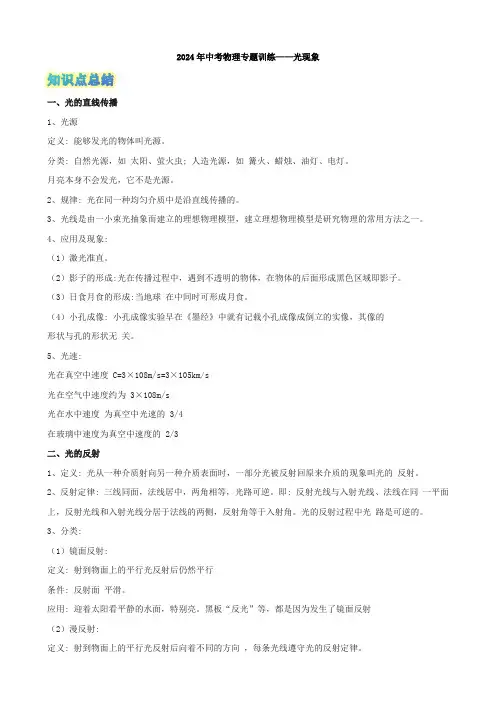 2024年中考物理专题训练——光现象
