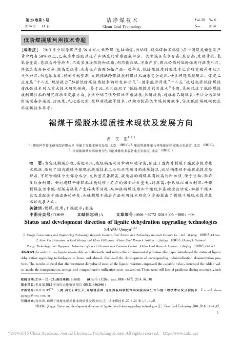 褐煤干燥脱水提质技术现状及发展方向_尚庆雨