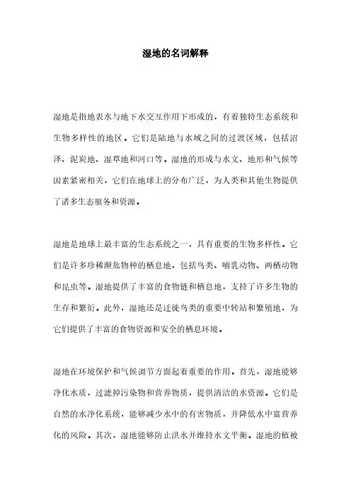 湿地的名词解释