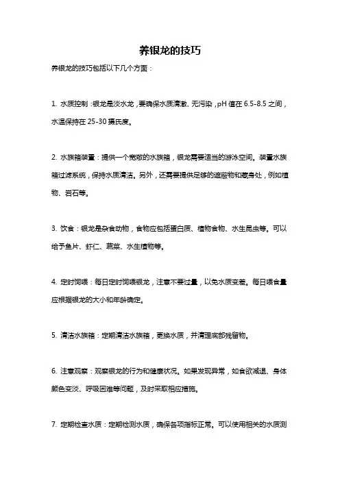 养银龙的技巧