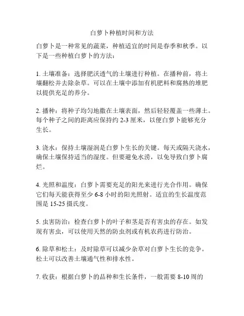 白萝卜种植时间和方法