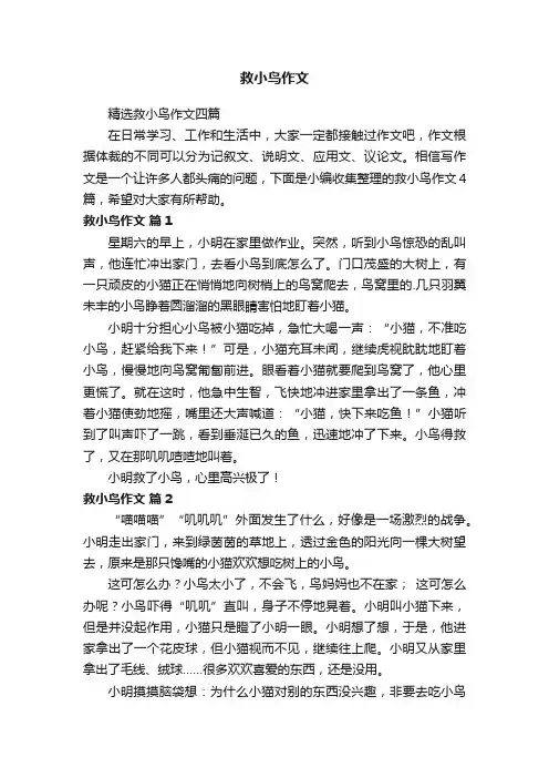 精选救小鸟作文四篇