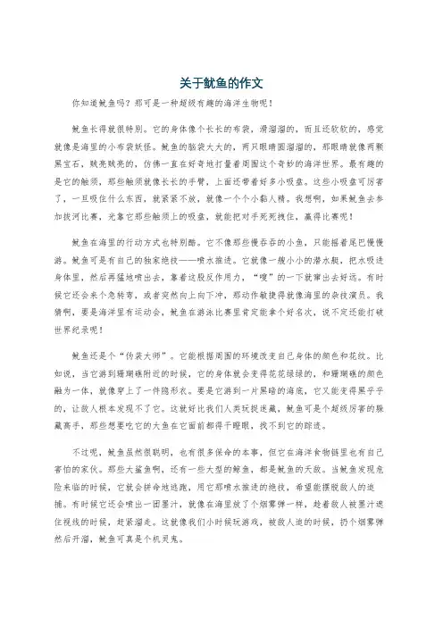 关于鱿鱼的作文