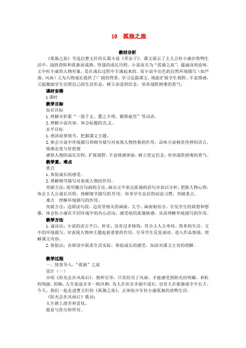 《孤独之旅》精品教案