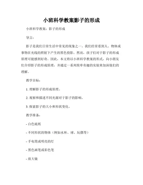 小班科学教案影子的形成