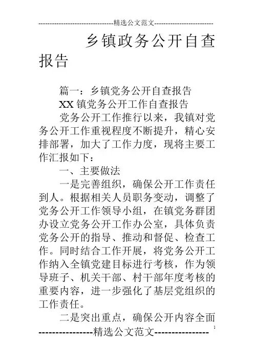 乡镇政务公开自查报告
