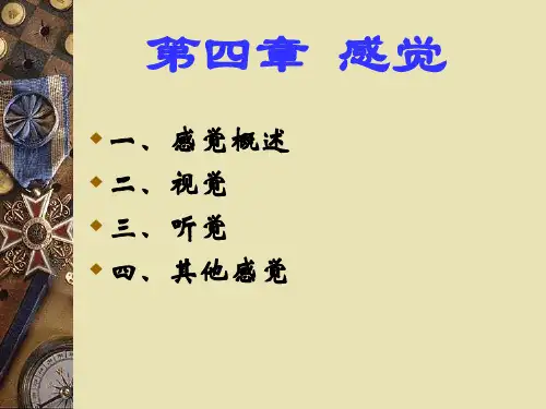普通心理学感觉 ppt课件