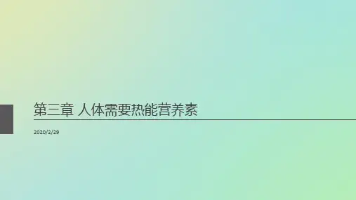 人体需要的热能营养素概述