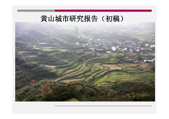 安徽黄山城市研究报告市场调查分析
