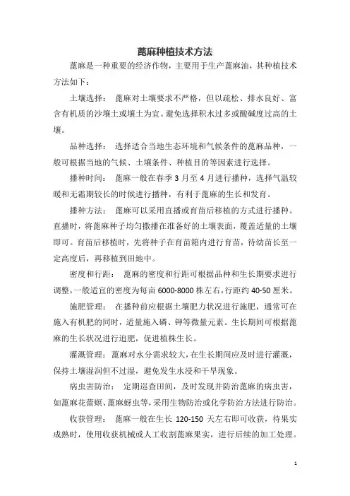 蓖麻种植技术方法
