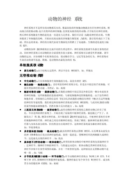 动物的神经系统