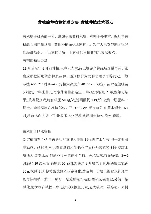 黄桃的种植和管理方法 黄桃种植技术要点