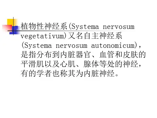 神经系统植物性神经