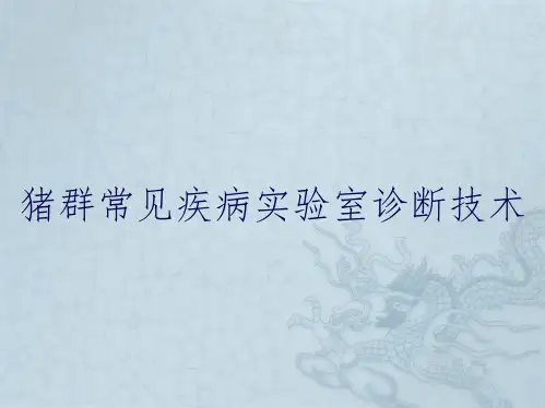 猪群常见疾病实验室诊断技术