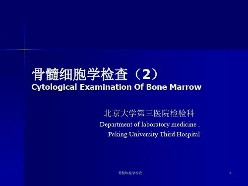 骨髓细胞学检查课件