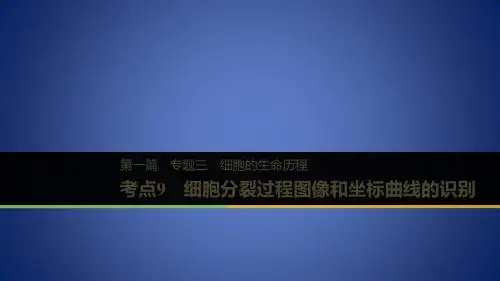 高考生物二轮复习 专题三 细胞的生命历程 考点9 细胞