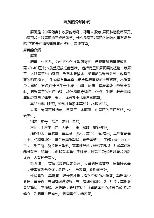 麻黄的介绍中药