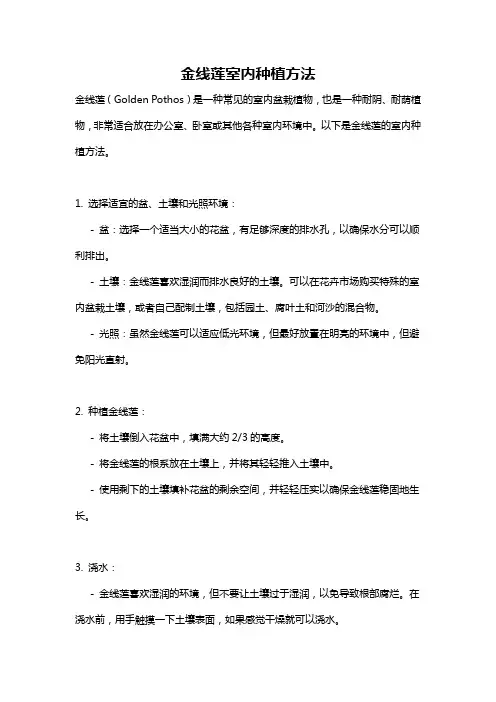 金线莲室内种植方法