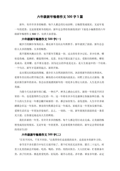 六年级新年畅想作文500字5篇