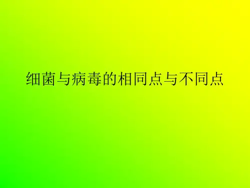 细菌与病毒的相同点与不同点