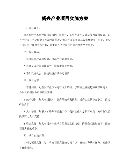 新兴产业项目实施方案