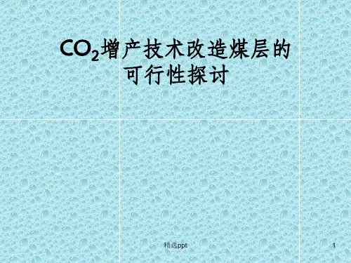 二氧化碳在煤层中应用