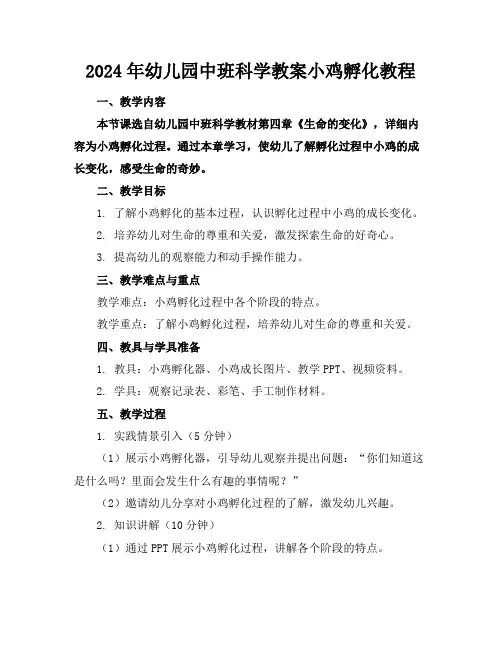 2024年幼儿园中班科学教案小鸡孵化教程