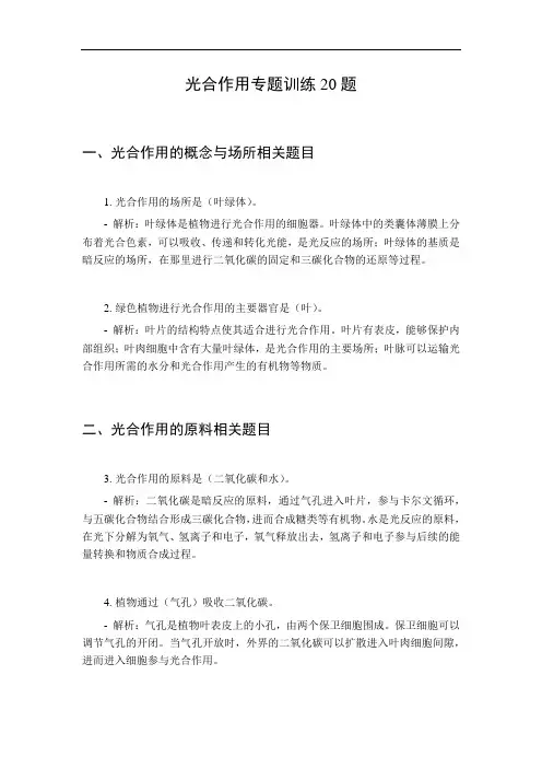 光合作用专题训练