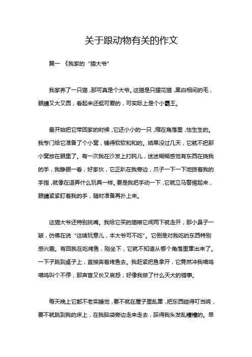 关于跟动物有关的作文