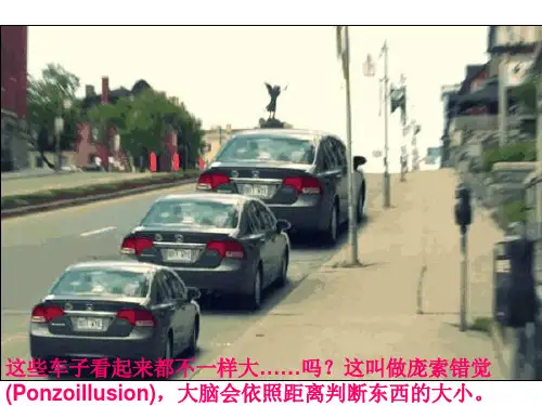 最新视错觉图片(含动态解读)被欺骗的大脑
