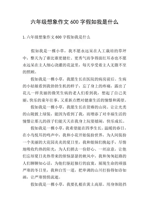 六年级想象作文600字假如我是什么