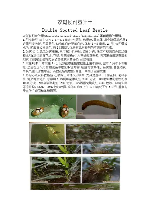 玉米病虫害防治彩色图谱(52--58页)