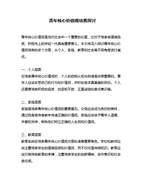 青年核心价值观培养探讨