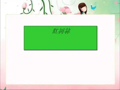 《红树林》PPT课件4