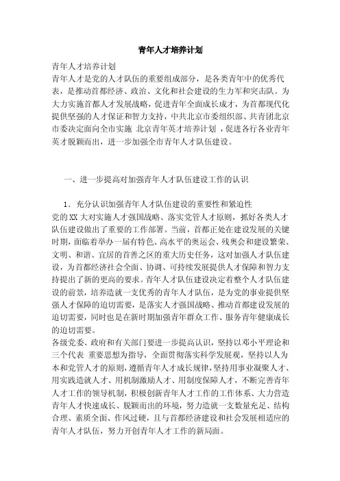 青年人才培养计划（完整版）