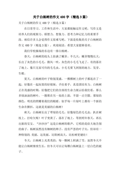 关于白杨树的作文400字(3篇)