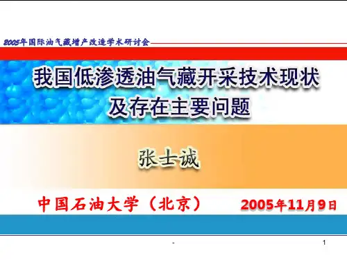 我国低渗透油气藏开采技术现状及存在主要问题PPT课件