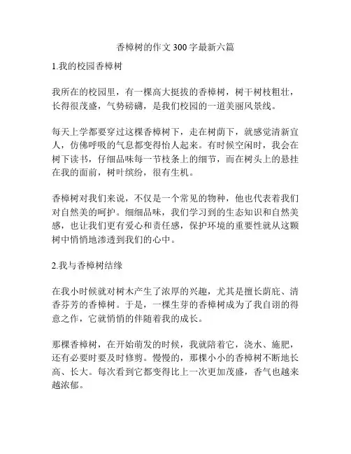 香樟树的作文300字最新六篇