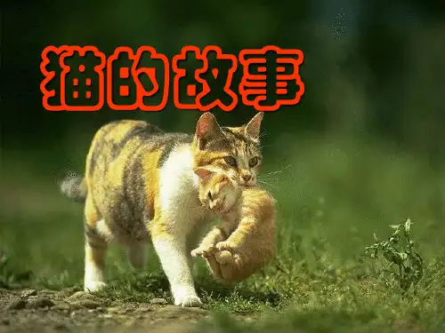 初中语文《猫的故事》(共12张)ppt11