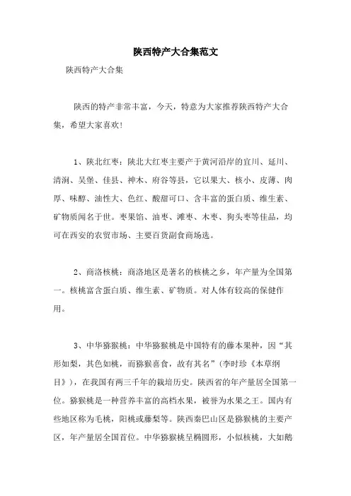 2021年陕西特产大合集范文