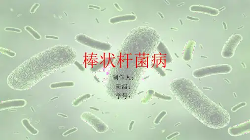 棒状杆菌病(1)