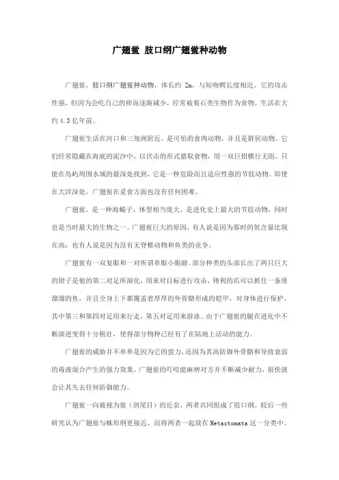 广翅鲎 肢口纲广翅鲎种动物