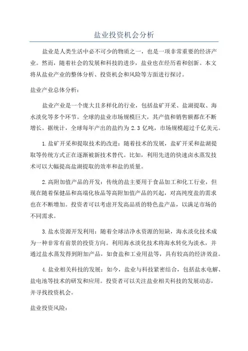盐业投资机会分析