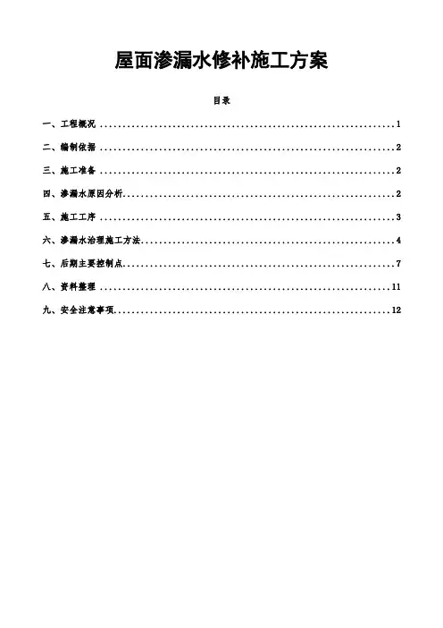 屋面渗漏水修补施工方案(13页)