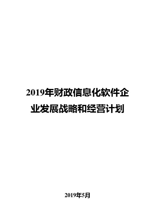 2019年财政信息化软件企业发展战略和经营计划