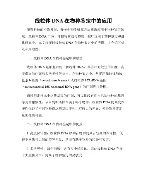 线粒体DNA在物种鉴定中的应用