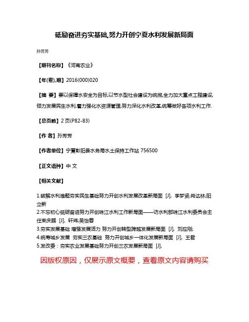 砥励奋进夯实基础,努力开创宁夏水利发展新局面