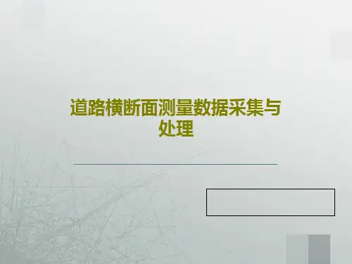 道路横断面测量数据采集与处理共20页