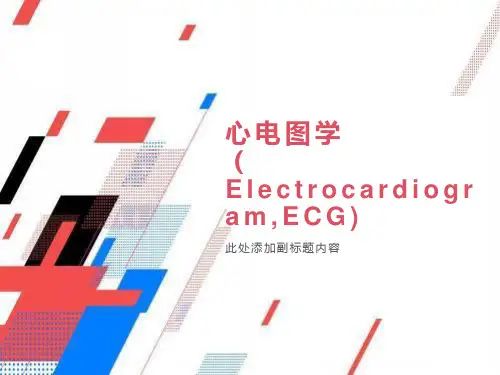 心电图知识讲座ppt